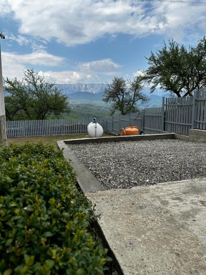 Prater House Mountain View Villa Moieciu de Jos Exteriör bild